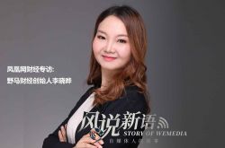 [2分钟科普]黄石的公司_哔哩哔哩